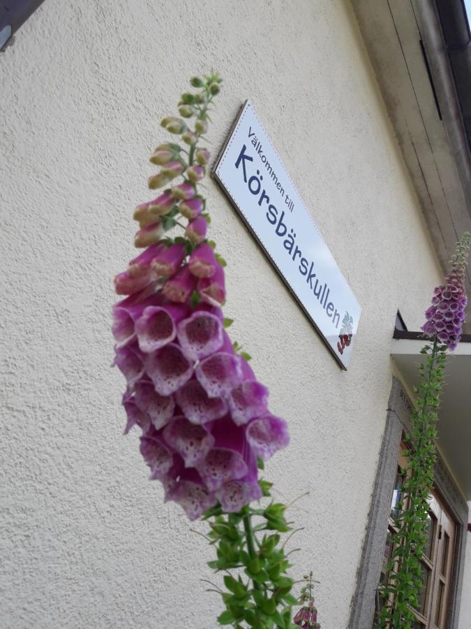 Koersbaerskullen Hostel Vimmerby Ngoại thất bức ảnh