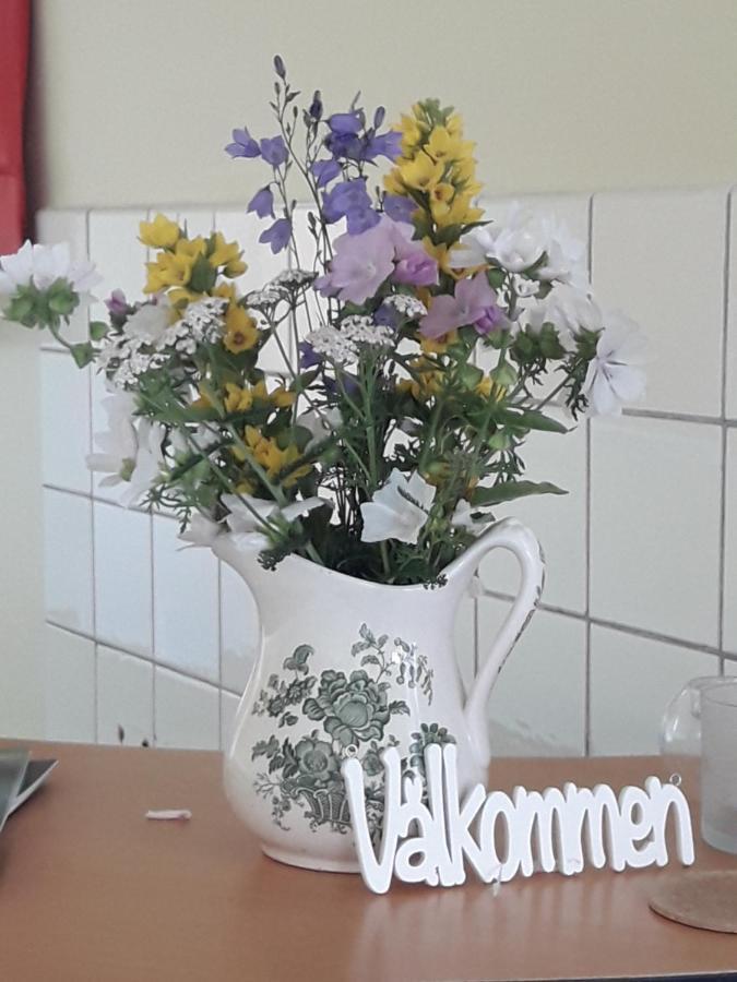 Koersbaerskullen Hostel Vimmerby Ngoại thất bức ảnh